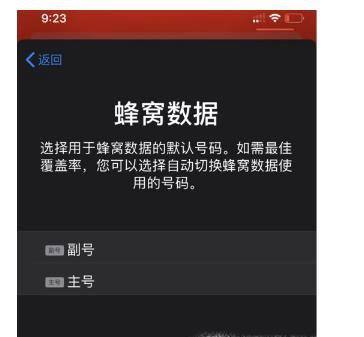 iPhone 11的双卡双待功能如何设置？
