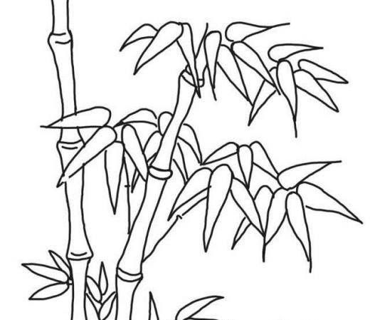 怎样画漂亮竹子