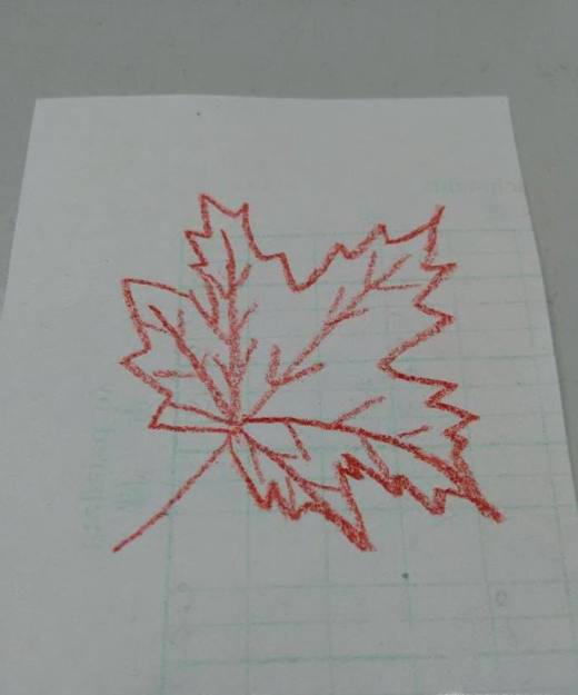 简笔画枫叶的画法