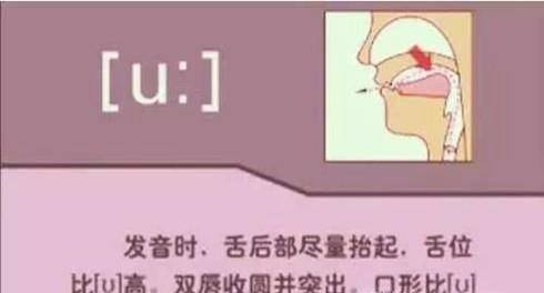 如何学习音标之元音【1】