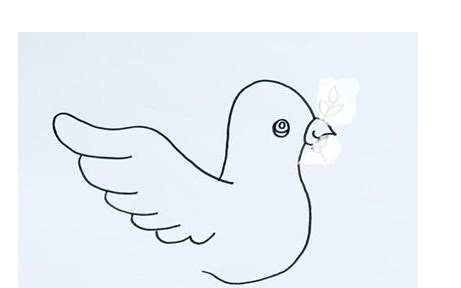 和平鸽简笔画