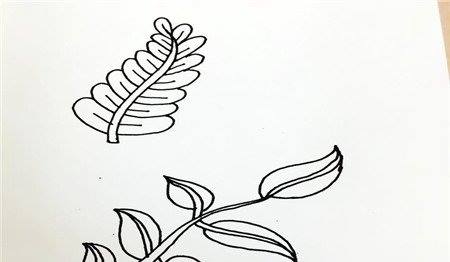 树叶简笔画
