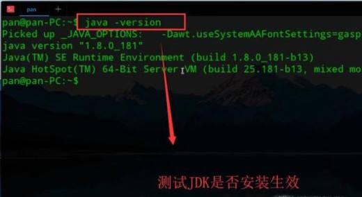 Linux系统中如何安装JDK