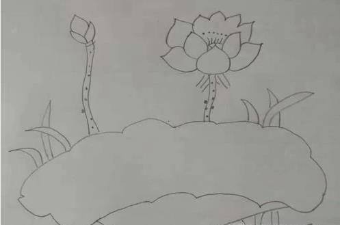 如何画荷花简笔画