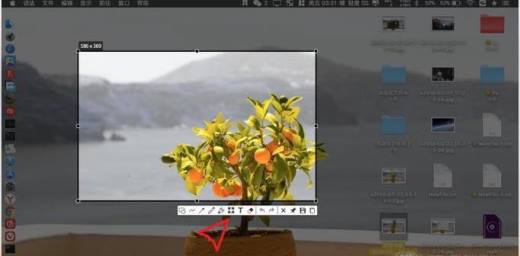 Mac版Snipaste怎样给图片添加马赛克