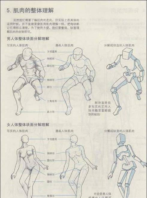 漫画怎么练人体结构透视等