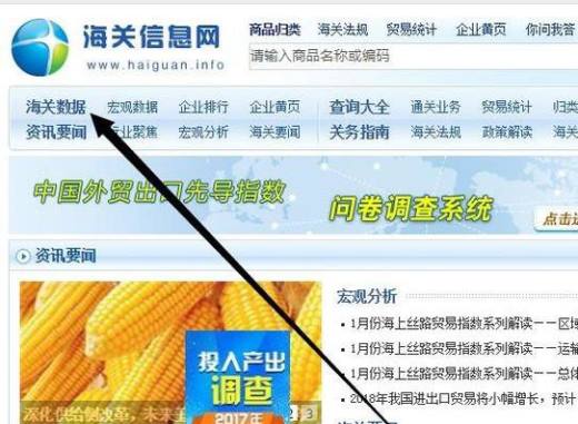 如何免费查询海关官方统计数据？