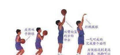 打篮球基本动作学习介绍