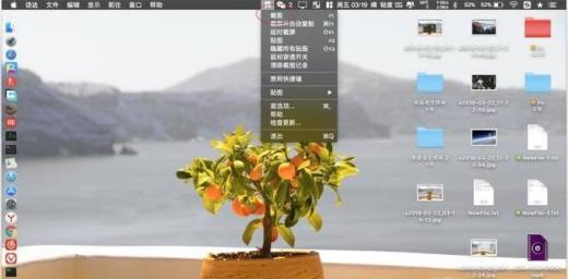 Mac版Snipaste怎样给图片添加马赛克