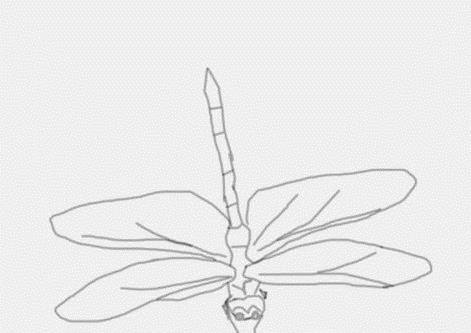 蜻蜓怎么画——简笔画
