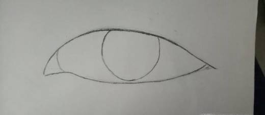 教你如何快速画素描眼睛