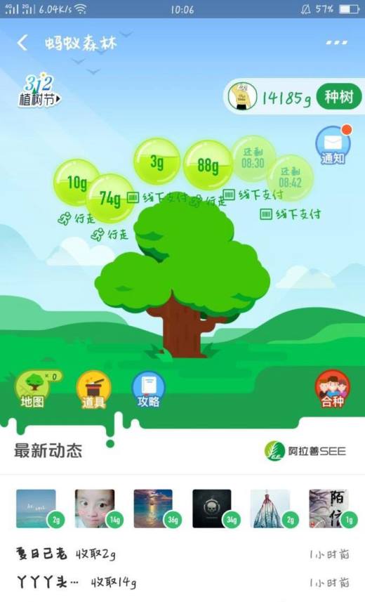支付宝蚂蚁森林大树养成了如何领取种苗
