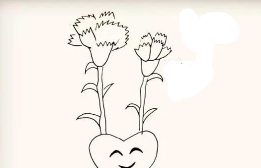康乃馨简笔画