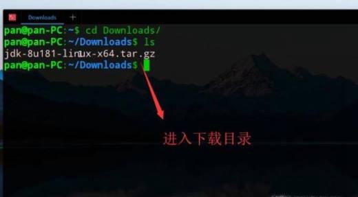 Linux系统中如何安装JDK