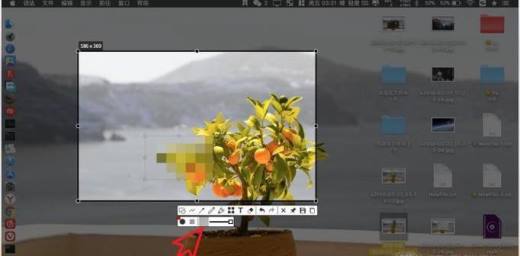 Mac版Snipaste怎样给图片添加马赛克
