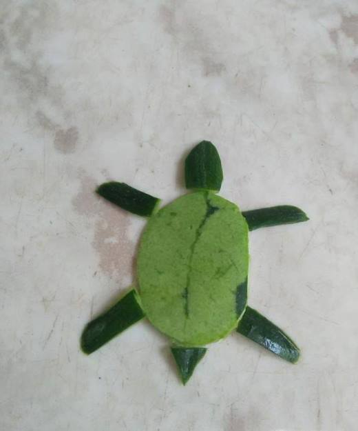 怎样用蔬菜跟水果来作画?