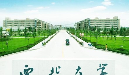 美术生可以考什么大学