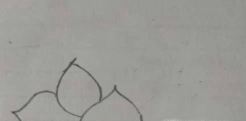 如何画荷花简笔画