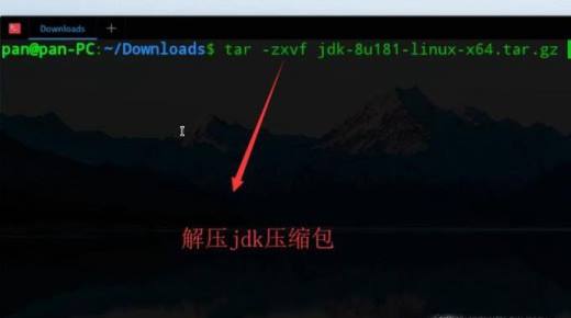 Linux系统中如何安装JDK