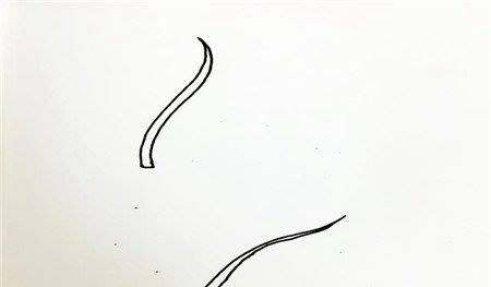 树叶简笔画