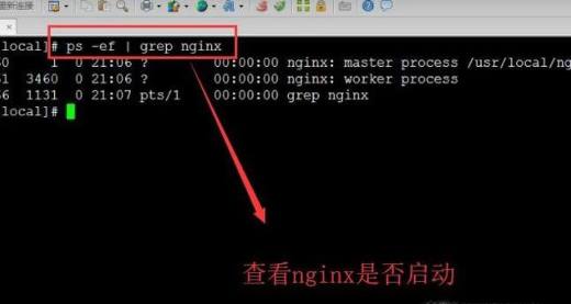 如何在Linux系统中安装Nginx服务器