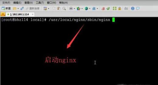 如何在Linux系统中安装Nginx服务器