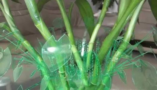 废旧塑料瓶做花瓶、笔筒