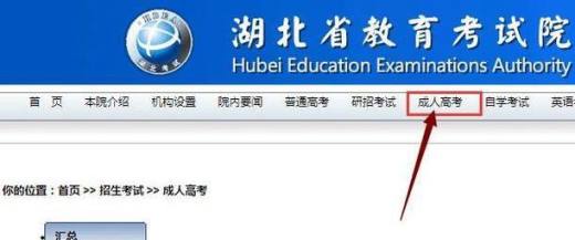 怎么查成人高考成绩