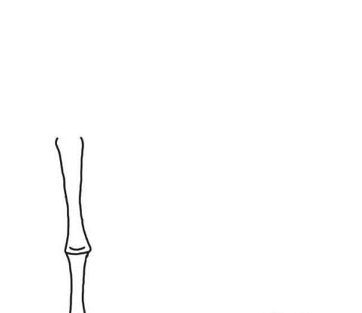 怎样画漂亮竹子