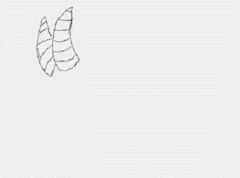 儿童简笔画：山羊