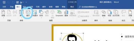 如何在word简历表中插入照片?