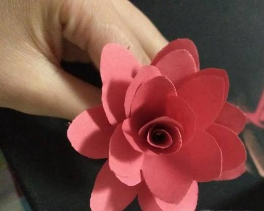 diy玫瑰花的做法