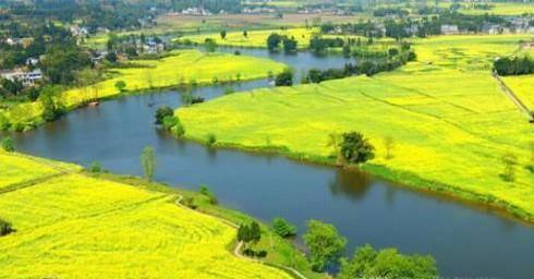 国内有哪些油菜花观赏地