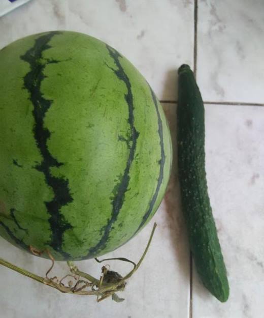 怎样用蔬菜跟水果来作画?