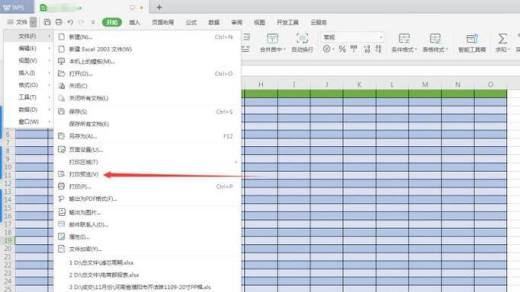 wps表格如何打印预览整个工作簿全部工资表