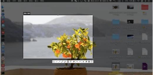 Mac版Snipaste怎样给图片添加马赛克