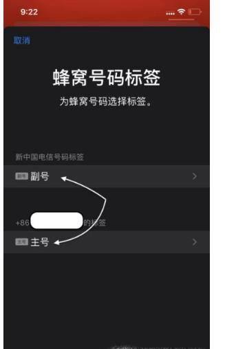iPhone 11的双卡双待功能如何设置？