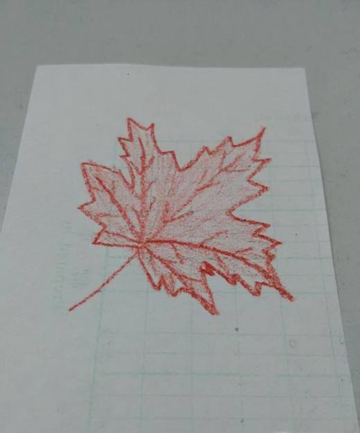 简笔画枫叶的画法