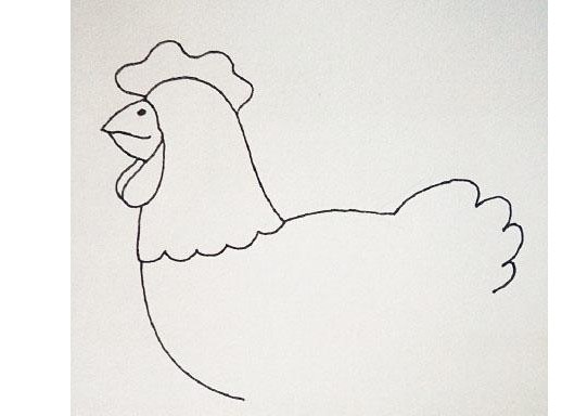 鸡的简笔画