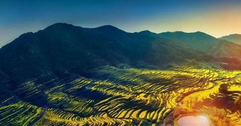 国内有哪些油菜花观赏地