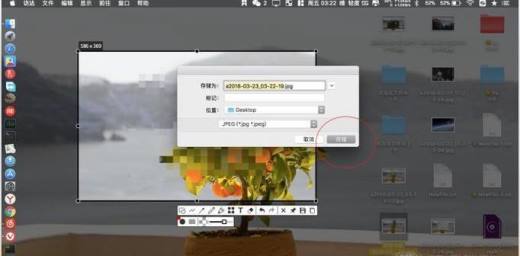 Mac版Snipaste怎样给图片添加马赛克