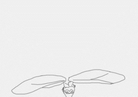 蜻蜓怎么画——简笔画