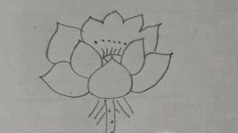如何画荷花简笔画