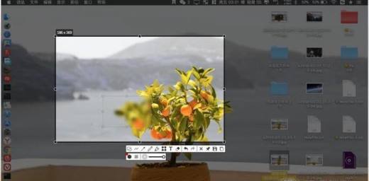 Mac版Snipaste怎样给图片添加马赛克