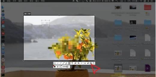 Mac版Snipaste怎样给图片添加马赛克