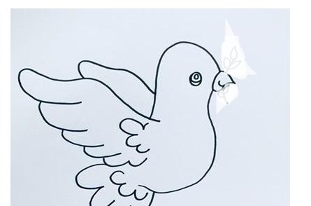 和平鸽简笔画